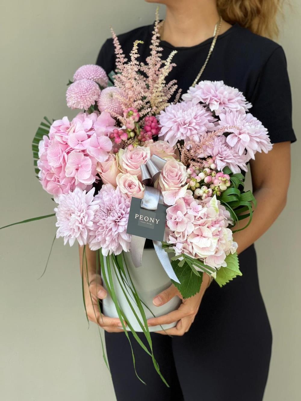 Pink Dream Hydrangea